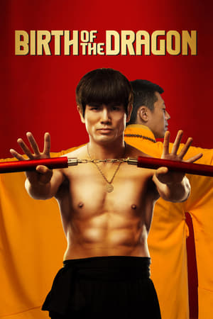 Birth of the Dragon (2016) Hindi Dual Audio 350MB HD Poster Download - Filmyzilla
