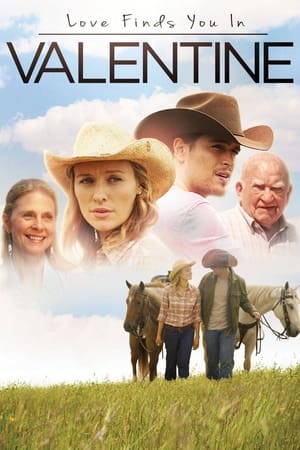 Love Finds You in Valentine (2016) Hindi Dual Audio 300MB HD Poster Download - Filmyzilla