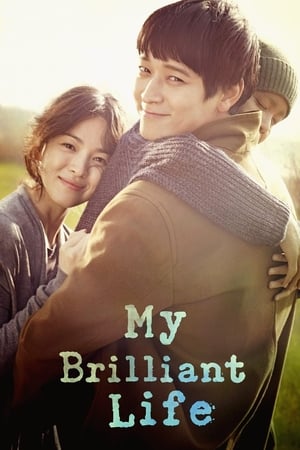 My Brilliant Life (2014) Hindi Dual Audio – 720p – HD Poster Download - Filmyzilla