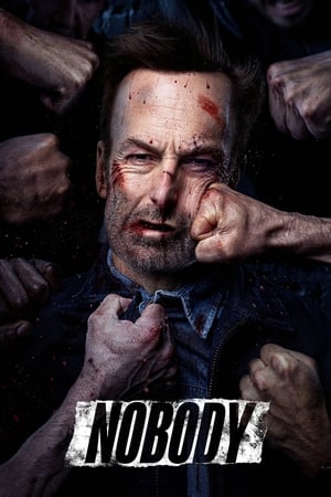 Nobody (2021) Hindi (Cleaned) Dual Audio [880MB] HD Poster Download - Filmyzilla
