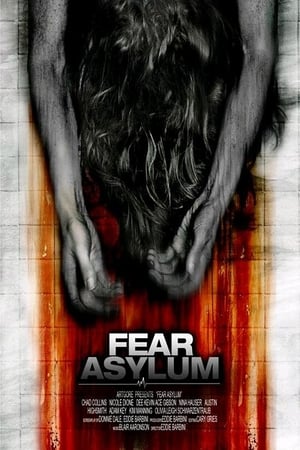Room 33 (2009) Hindi Dual Audio 300MB HD Poster Download - Filmyzilla