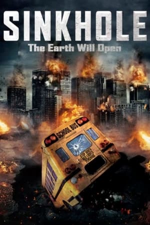 Sink Hole 2013 Hindi Dual Audio 300MB HD Poster Download - Filmyzilla