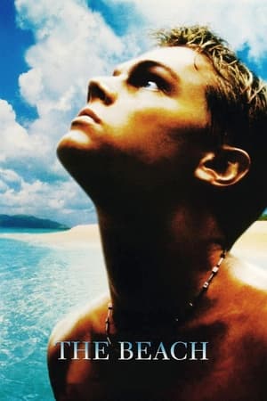 The Beach (2000) Hindi Dual Audio [900MB] HD Poster Download - Filmyzilla