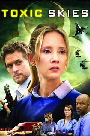 Toxic Skies 2008 Hindi Dual Audio 300MB HD Poster Download - Filmyzilla
