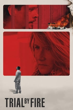 Trial by Fire 2018 Hindi Dual Audio [1GB] HD Poster Download - Filmyzilla