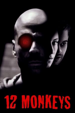 Twelve Monkeys (1995) Hindi Dual Audio Movie - 2.9GB